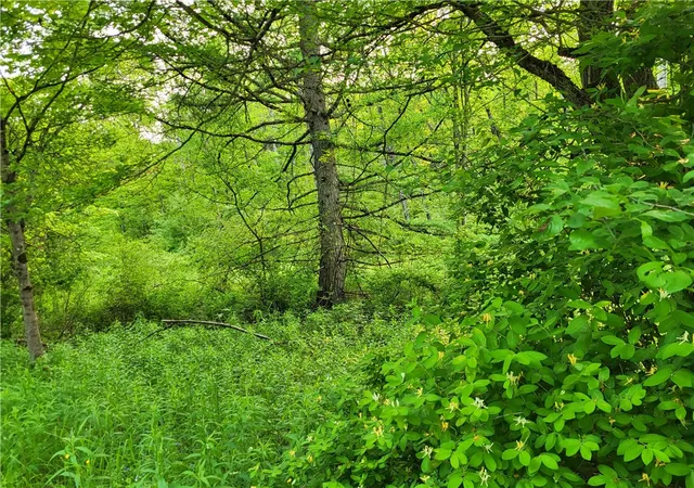3rd image of Lot 141 Joe Rd, Lincklaen, NY 13155 | MLS# R1608486