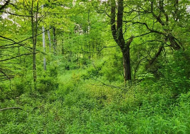 4th image of Lot 141 Joe Rd, Lincklaen, NY 13155 | MLS# R1608486