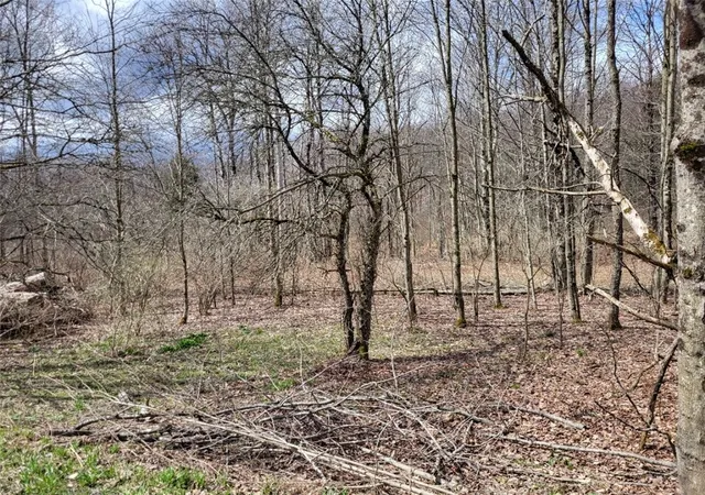 5th image of Lot 141 Joe Rd, Lincklaen, NY 13155 | MLS# R1608486