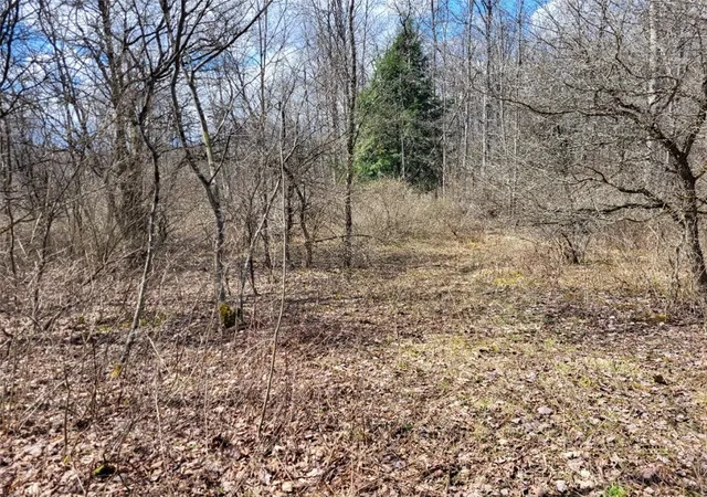 8th image of Lot 141 Joe Rd, Lincklaen, NY 13155 | MLS# R1608486