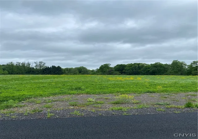 Photo 1 of Land for sale at Seymour Ln, Westmoreland, NY 13490 | MLS# S1608914 | Listing updated on 2026-05-13
