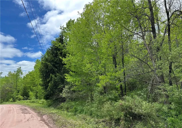 Homes for sale in Andes, NY | Woodland Hills Rd, Andes, NY 13731 | MLS# R1608500