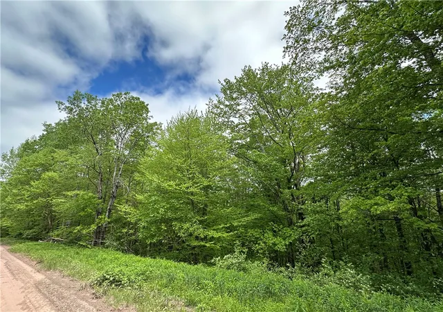 Homes for sale in Andes, NY | Woodland Hills Rd, Andes, NY 13731 | MLS# R1608500