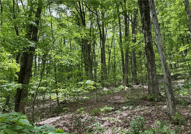 Homes for sale in Andes, NY | Woodland Hills Rd, Andes, NY 13731 | MLS# R1608500