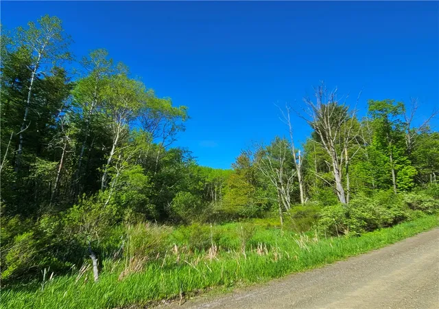 5th image of 9593 Bull Hill Road Road, Prattsburgh, NY 14873 | MLS# R1610986
