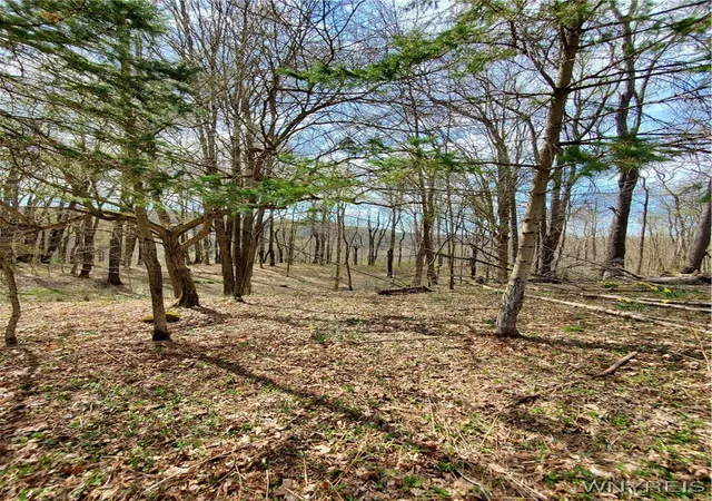 Homes for sale in Mansfield, NY | 7200 Kent Rd, Mansfield, NY 14731 | MLS# B1610678