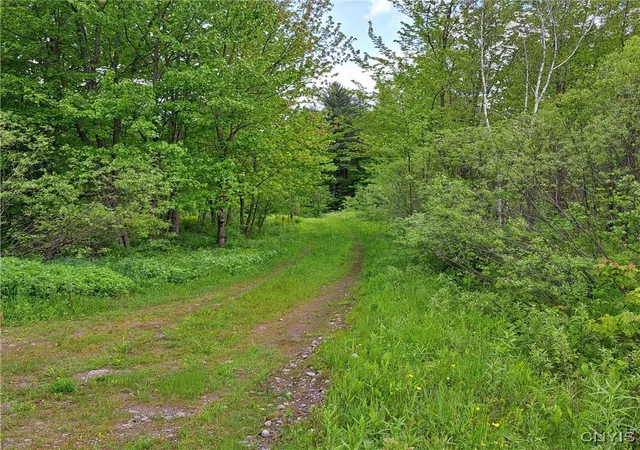 Homes for sale in Florence, NY | Westdale Rd #16, Florence, NY 13316 | MLS# S1611517