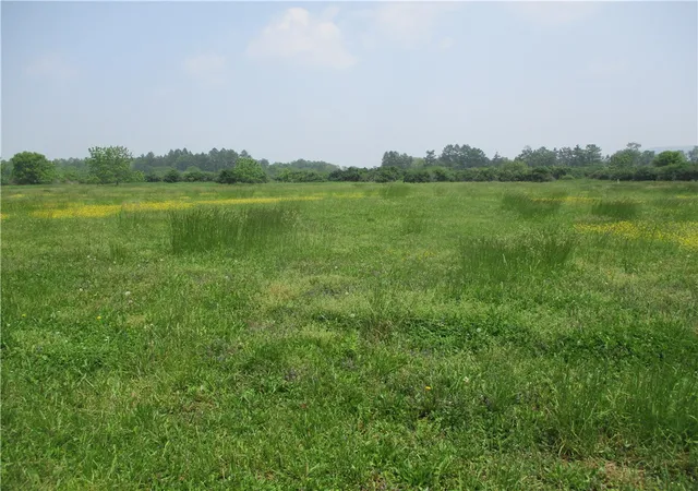 Homes for sale in Big Flats, NY | 180 A Hibbard Rd, Big Flats, NY 14814 | MLS# R1612757