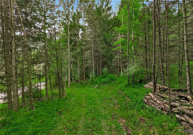 Homes for sale in Mansfield, NY | Vl Maples Rd, Mansfield, NY 14755 | MLS# B1614637