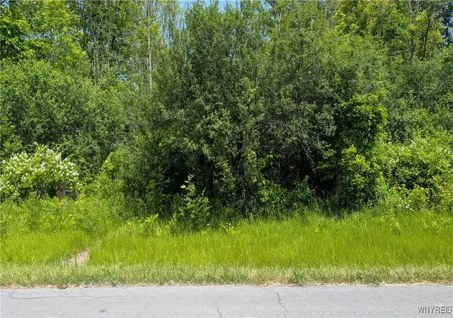Photo 1 of Land for sale at 981 Swann Rd, Youngstown, NY 14174 | MLS# B1605486 | Listing updated on 2026-07-22