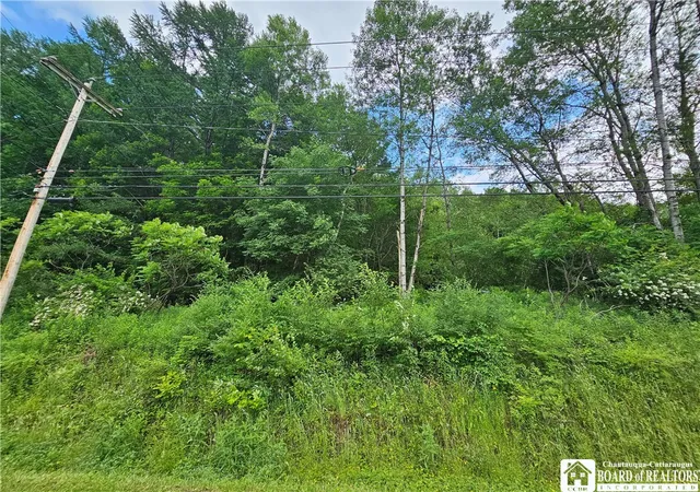 Photo 3 of Sale Pending at 738 Four Mile Rd, Allegany, NY 14706 | MLS# R1616656 | Listing updated on 2025-07-21