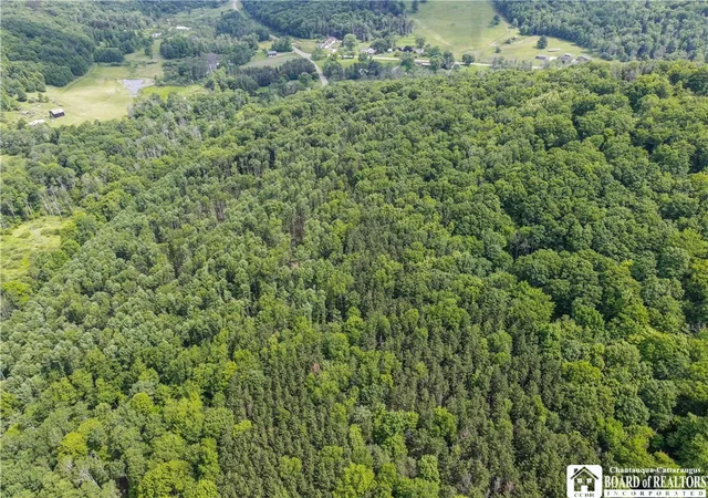 Photo 4 of Sale Pending at 738 Four Mile Rd, Allegany, NY 14706 | MLS# R1616656 | Listing updated on 2025-07-21