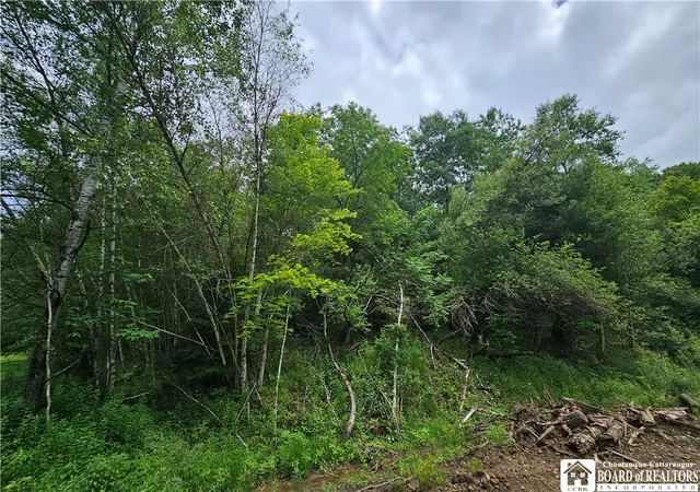 Photo 5 of Sale Pending at 738 Four Mile Rd, Allegany, NY 14706 | MLS# R1616656 | Listing updated on 2025-07-21