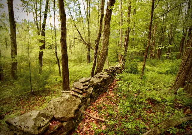 Photo 2 of Sale Pending at Route 52, Wawarsing, NY 12489 | MLS# R1613825 | Listing updated on 2025-09-04