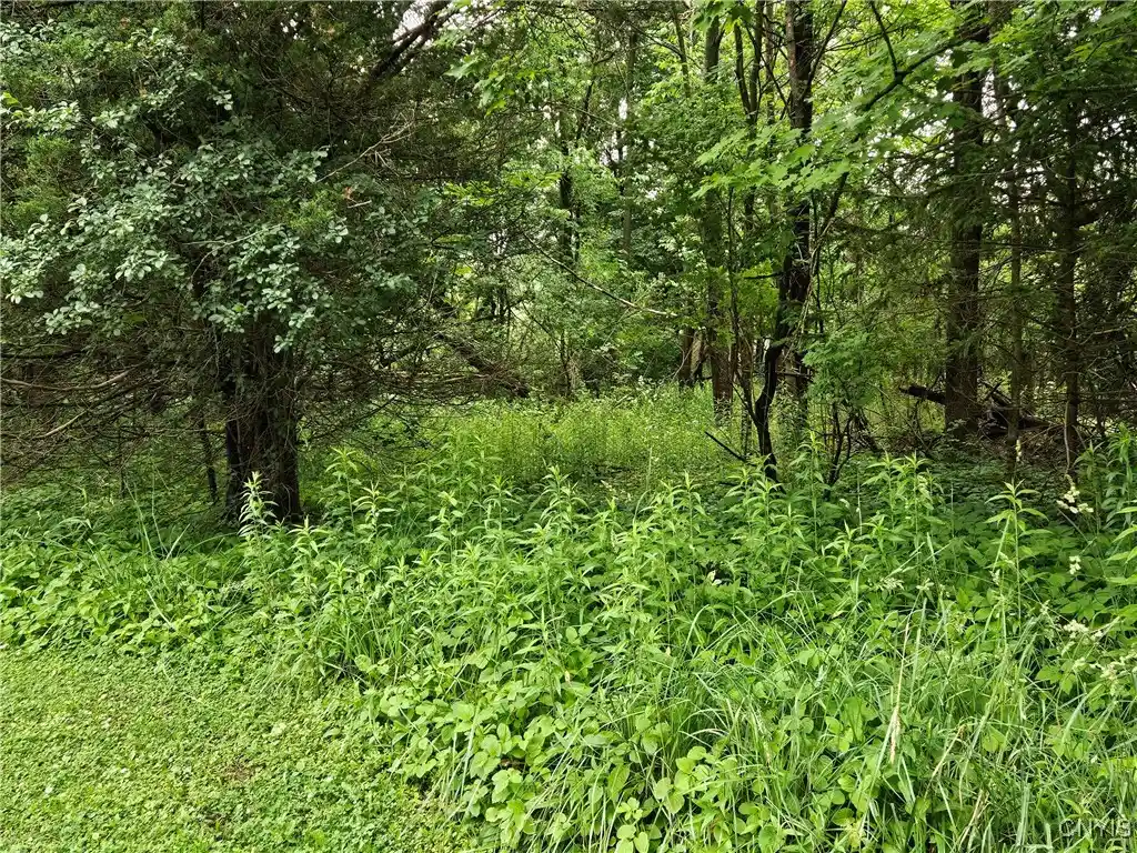 Photo 1 of Land for sale at Sims Ln, Cazenovia, NY 13035 | MLS# S1617000 | Listing updated on 2025-12-03