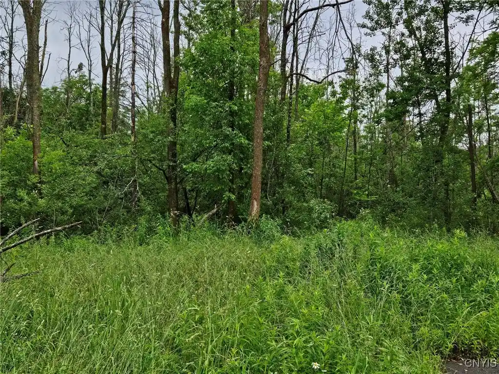 Photo 1 of Land for sale at 56 Myrtle St, Cazenovia, NY 13035 | MLS# S1617006 | Listing updated on 2025-12-03