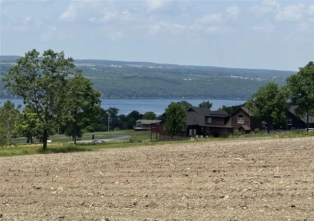 Homes for sale in Hector, NY | 0 Shumway Rd, Hector, NY 14818 | MLS# R1618398