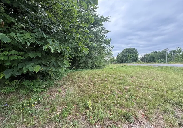 Homes for sale in Theresa, NY | Rt 26, Theresa, NY 13691 | MLS# S1618821