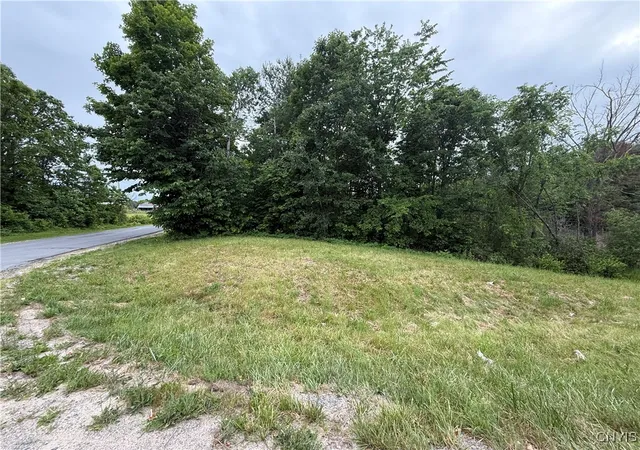 Homes for sale in Theresa, NY | Rt-26, Theresa, NY 13691 | MLS# S1618821