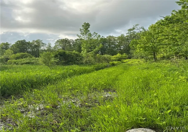 Homes for sale in Norway, NY | 1273 Newport Gray Road Road, Norway, NY 13416 | MLS# S1619128