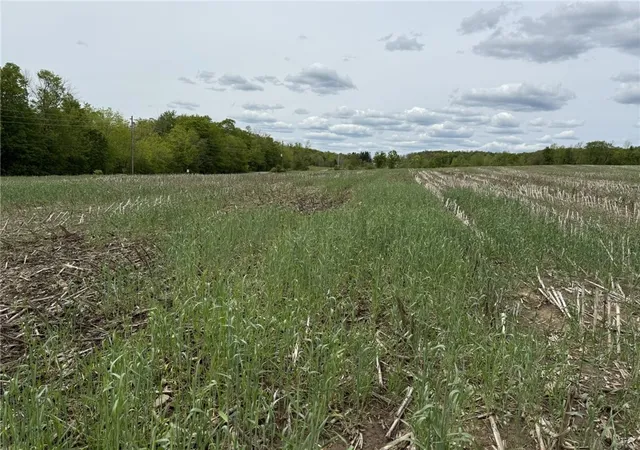 1st image of L7415 County Road 7, Mc Donough, NY 13801 | MLS# R1619592