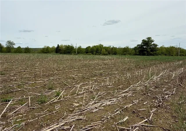 5th image of L7415 County Road 7, Mc Donough, NY 13801 | MLS# R1619592