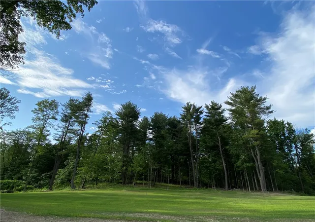 Homes for sale in Veteran, NY | 1229b Middle Rd, Veteran, NY 14845 | MLS# R1619976