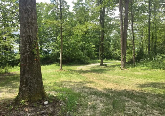 Homes for sale in Veteran, NY | 1229B Middle Rd, Veteran, NY 14845 | MLS# R1619976
