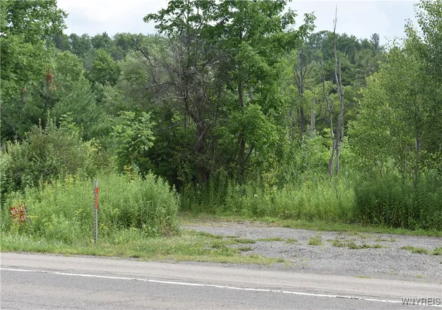 1st image of 10568 Rt 16, Yorkshire, NY 14030 | MLS# B1623254