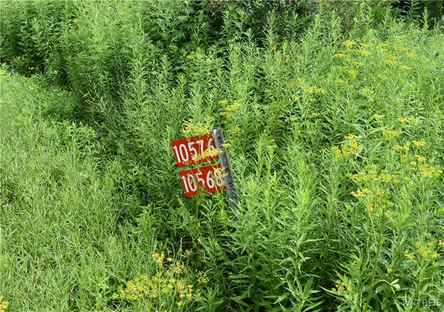Photo 3 of Land for sale at 10568 Rt-16, Yorkshire, NY 14030 | MLS# B1623254 | Listing updated on 2026-07-16