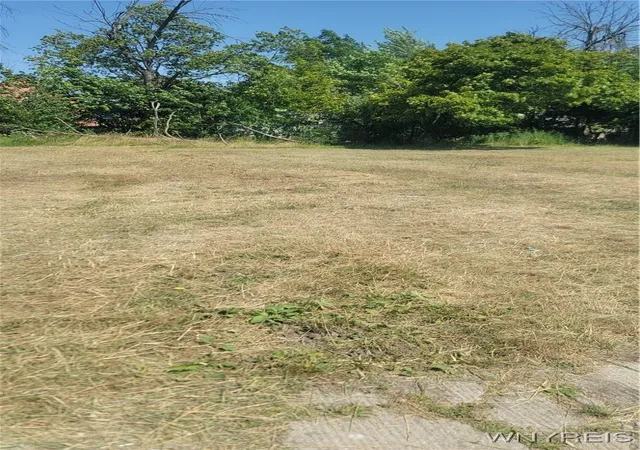 Photo 1 of Land for sale at 105 Nevada Ave, Buffalo, NY 14211 | MLS# B1625513 | Listing updated on 2026-07-22