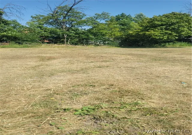 Photo 3 of Land for sale at 105 Nevada Ave, Buffalo, NY 14211 | MLS# B1625513 | Listing updated on 2026-07-22