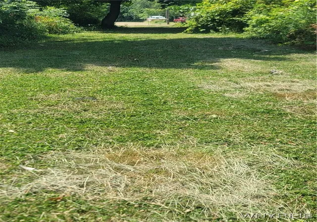Photo 3 of Land for sale at 74 Colorado Ave, Buffalo, NY 14211 | MLS# B1625477 | Listing updated on 2026-07-22