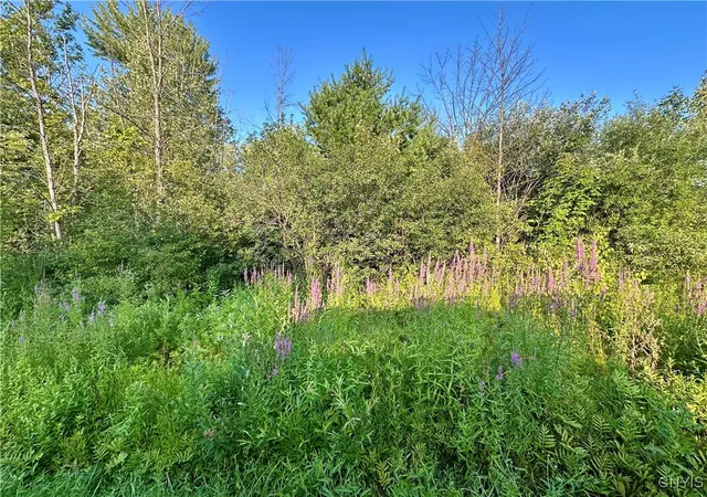 Homes for sale in Westmoreland, NY | Lower Lawrence St, Westmoreland, NY 13440 | MLS# S1625972