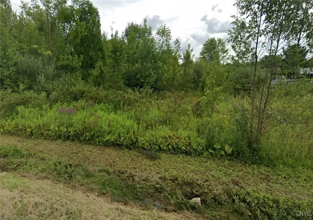 Homes for sale in Westmoreland, NY | Lower Lawrence St, Westmoreland, NY 13440 | MLS# S1625972