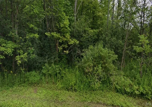 Homes for sale in Westmoreland, NY | Lower Lawrence St, Westmoreland, NY 13440 | MLS# S1625972