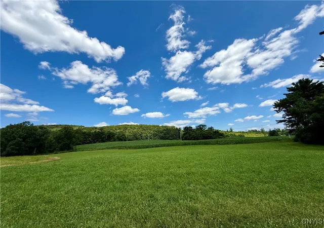 Homes for sale in De Ruyter, NY | 00 E Lake Rd, De Ruyter, NY 13052 | MLS# S1625102