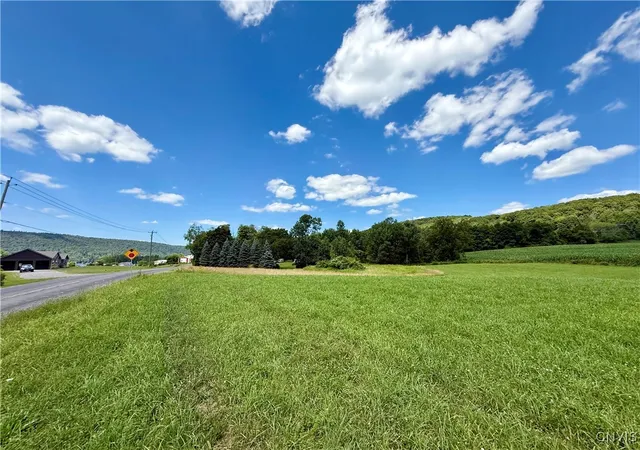 Homes for sale in De Ruyter, NY | 00 E Lake Rd, De Ruyter, NY 13052 | MLS# S1625102