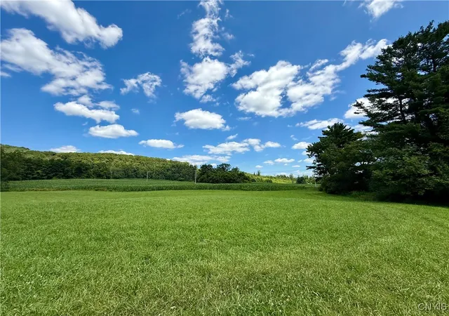 Homes for sale in De Ruyter, NY | 00 E Lake Rd, De Ruyter, NY 13052 | MLS# S1625102