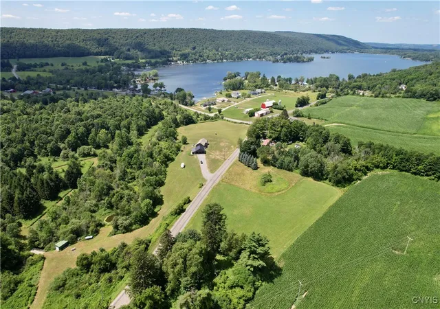 Homes for sale in De Ruyter, NY | 00 E Lake Rd, De Ruyter, NY 13052 | MLS# S1625102