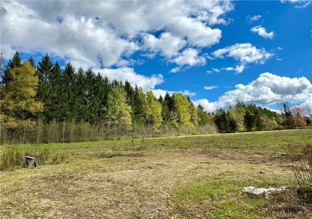Photo 1 of Land for sale at 0 Jackson Hill Rd, Treadwell, NY 13846 | MLS# R1625787 | Listing updated on 2026-07-23