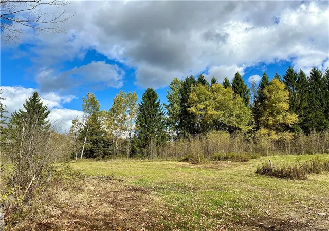 Photo 2 of Land for sale at 0 Jackson Hill Rd, Treadwell, NY 13846 | MLS# R1625787 | Listing updated on 2026-07-23