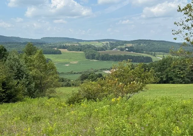 2nd image of 4380 State Hwy 80 Hwy, Columbus, NY 13460 | MLS# R1627682