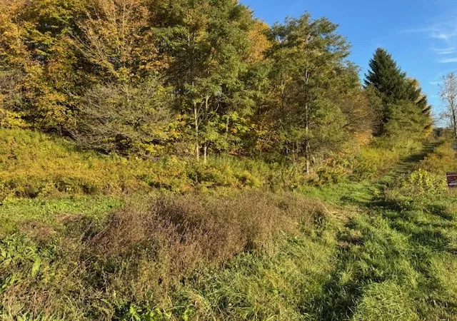 37th image of 4380 State Hwy 80 Hwy, Columbus, NY 13460 | MLS# R1627682
