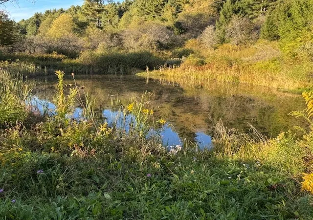 4th image of 4380 State Hwy 80 Hwy, Columbus, NY 13460 | MLS# R1627682
