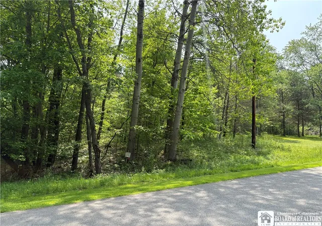 3rd image of Burton Rd, Busti, NY 14701 | MLS# R1628359