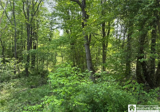 4th image of Burton Rd, Busti, NY 14701 | MLS# R1628359