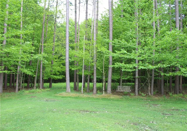 49th image of 227 South Rd, Plymouth, NY 13815 | MLS# R1628534