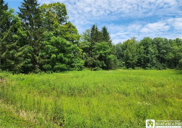1st image of 0 School St, Mina, NY 14736 | MLS# R1628615