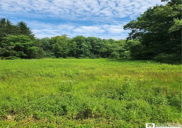 2nd image of 0 School St, Mina, NY 14736 | MLS# R1628615